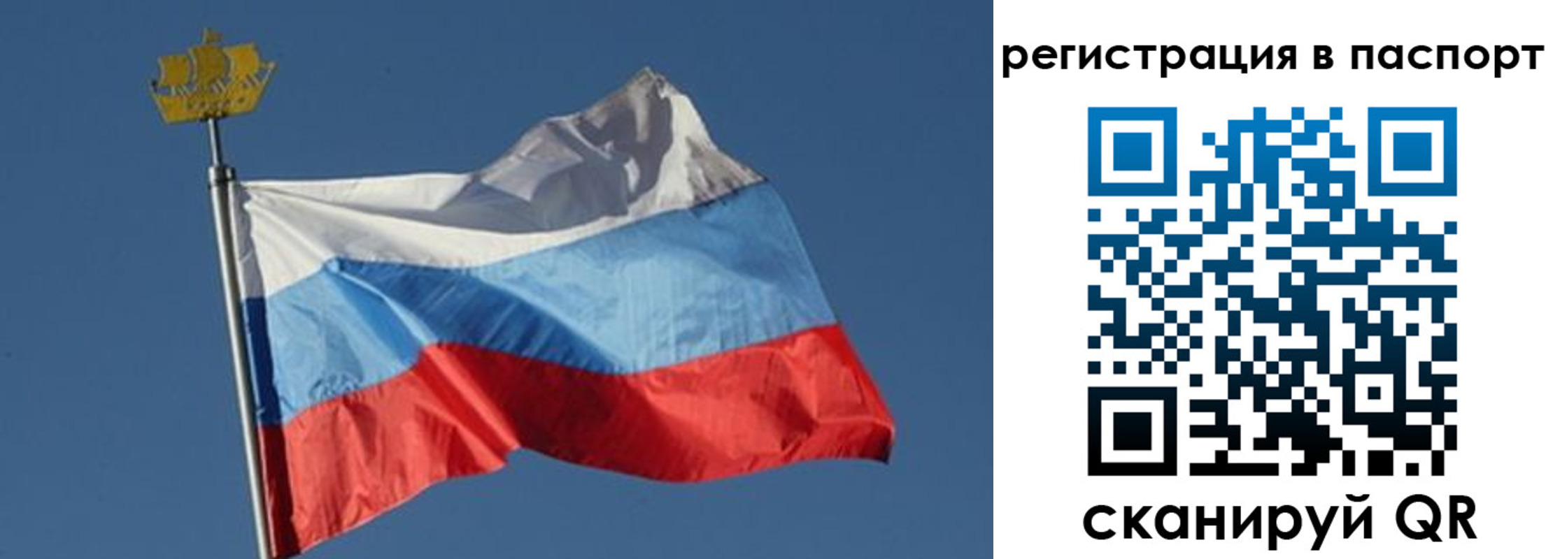 временная регистрация законно в Кингисеппе